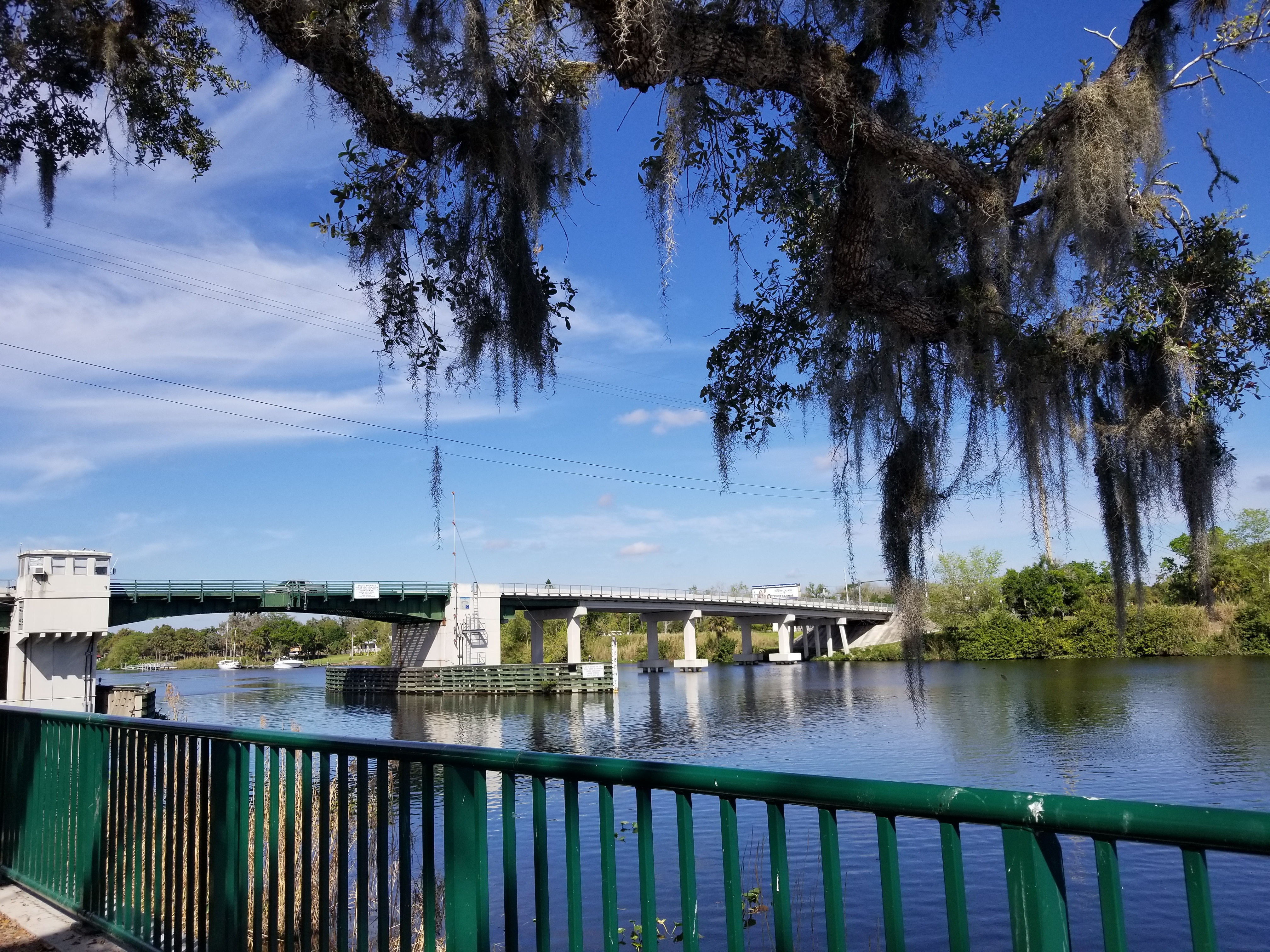 view of the hendry bridge from a local park
